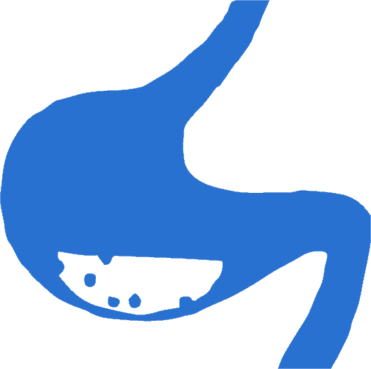 illustration of the human bowel