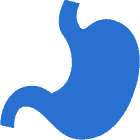 Blue silhouette of a human stomach icon.