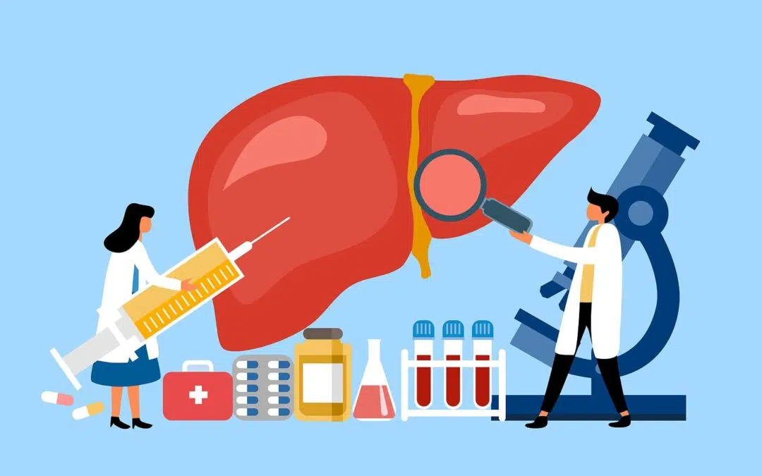 Diet Habits Affecting The Liver