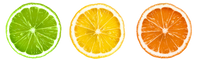 Citrus slices trio on gray background