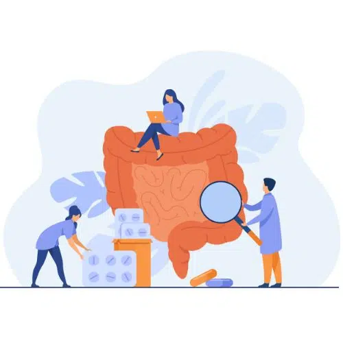 Animated characters examining an oversized model of intestines with one person using a magnifying glass and another sitting atop with a laptop