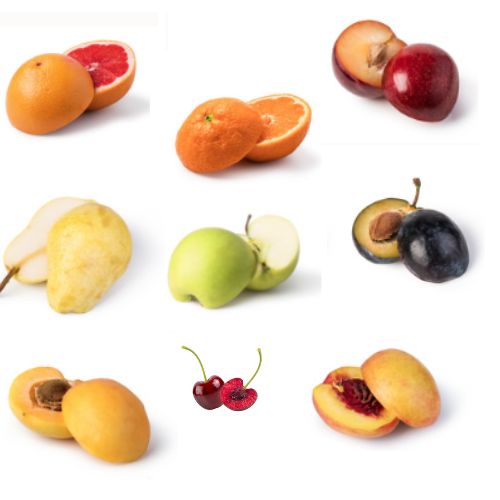 Collage of various fruits including grapefruit, orange, apple, pear, plum, cherries, and peach.